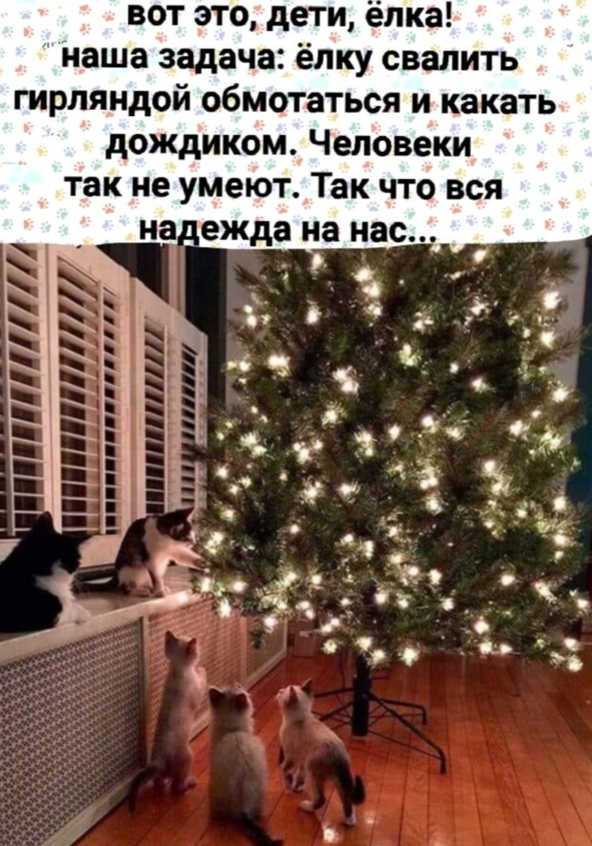 Вот это, дети, ёлка! наша задача: ёлку свалить гирляндой обмотаться и каκать дождиком. Человеки так не умеют. Так что вся надежда на нас...