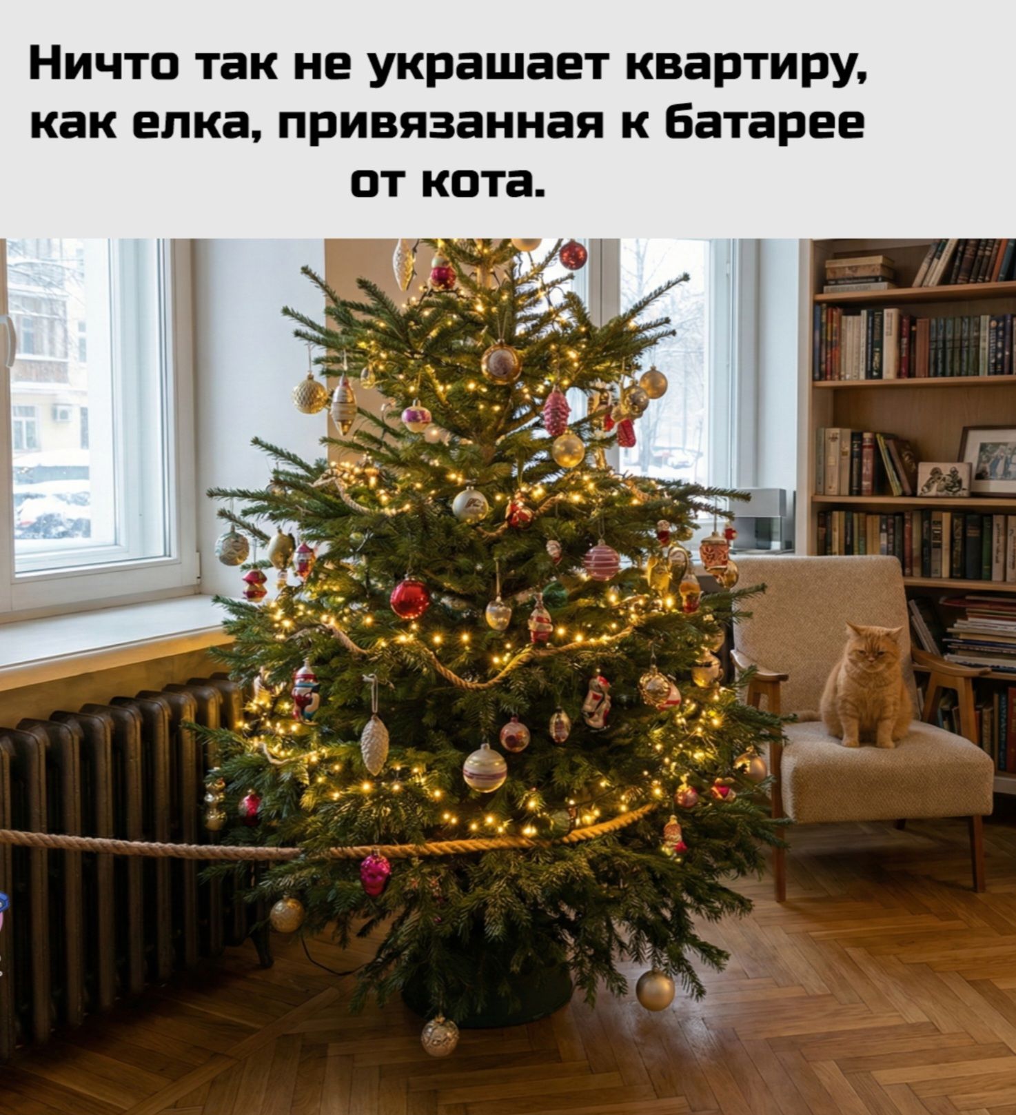 Ничто так не украсает квартиру, как елка, привязанная к батарее от кота.