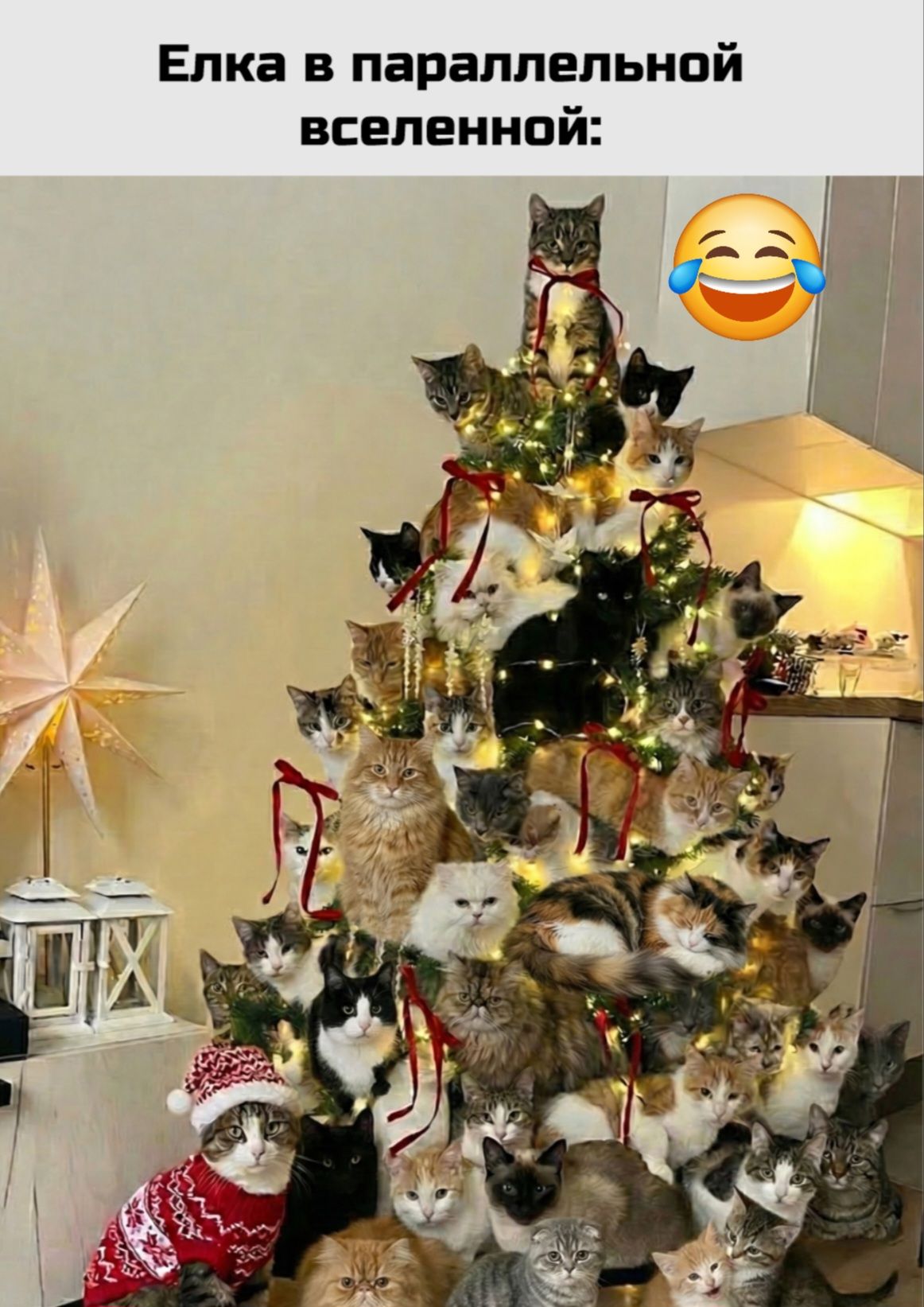 Елка в параллельной вселенной: