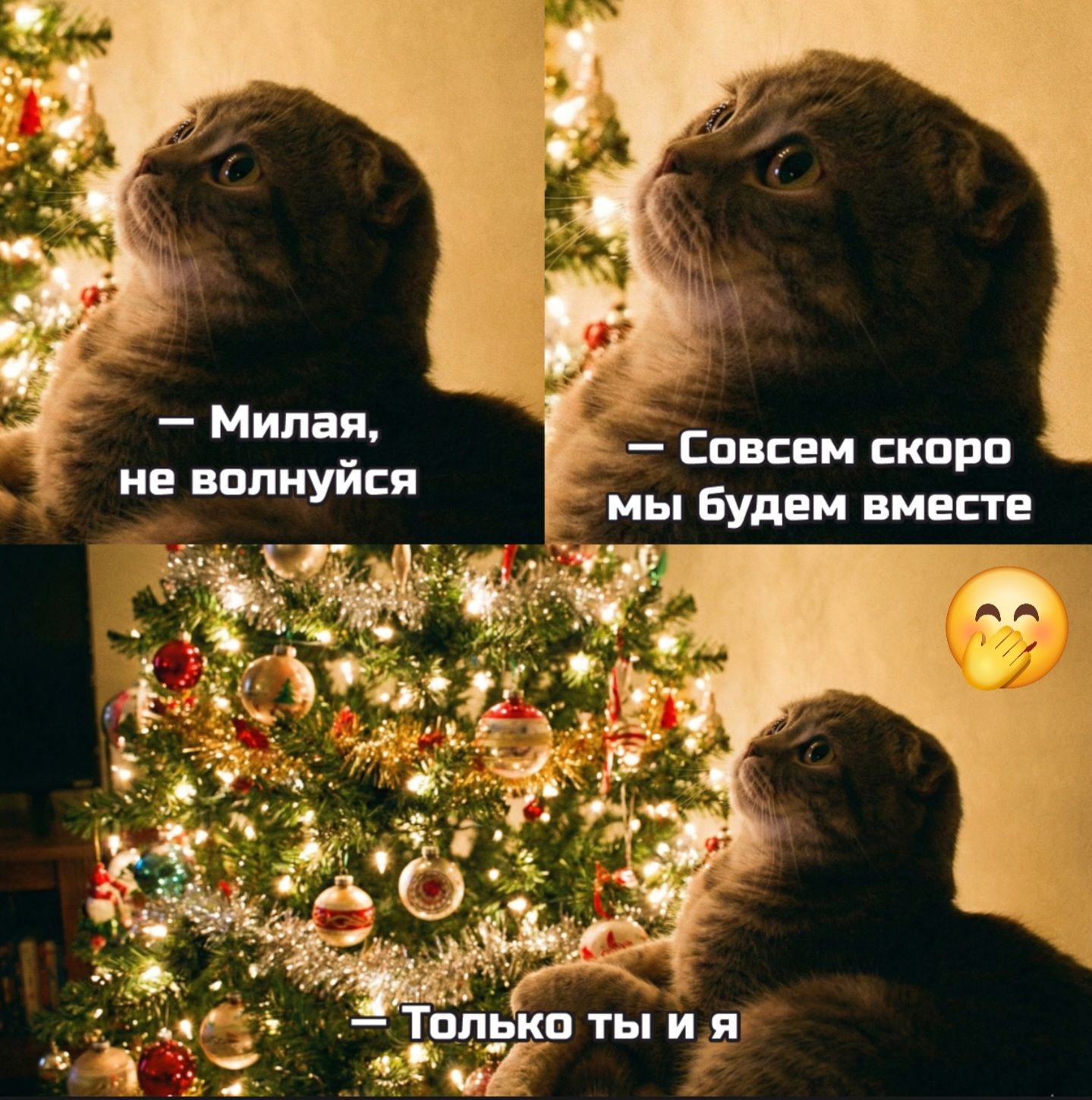 Милая, не волнуйся — Совсем скоро мы будем вместе — Только ты и я