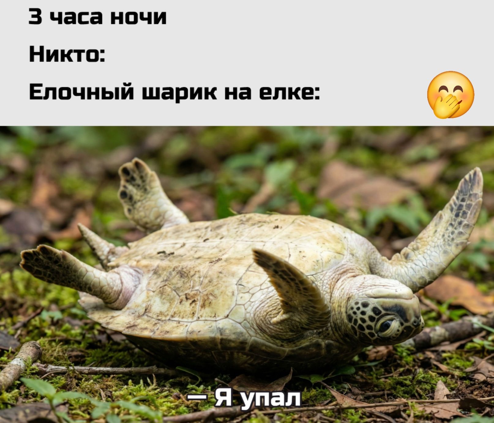3 часа ночи\nНикто:\nЕлочный шарик на елке:\n🤔\n— Я упал
