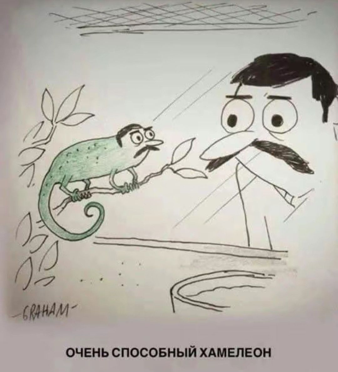 ОЧЕНЬ СПОСОБНЫЙ ХАМЕЛЕОН