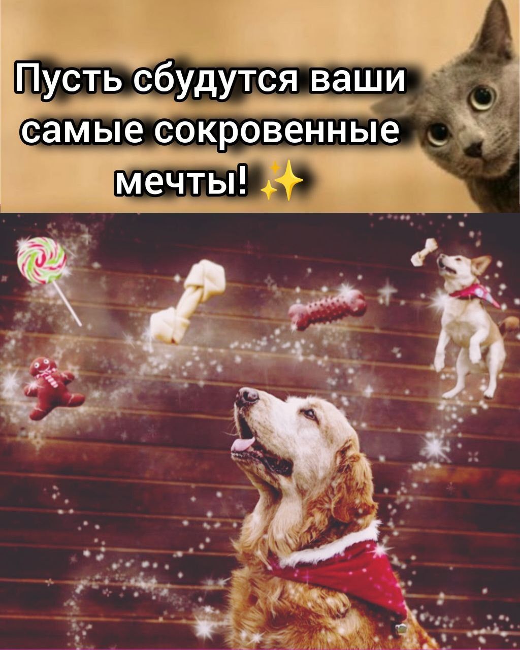 Пусть сбудутся ваши самые сокровенные мечты! ✨