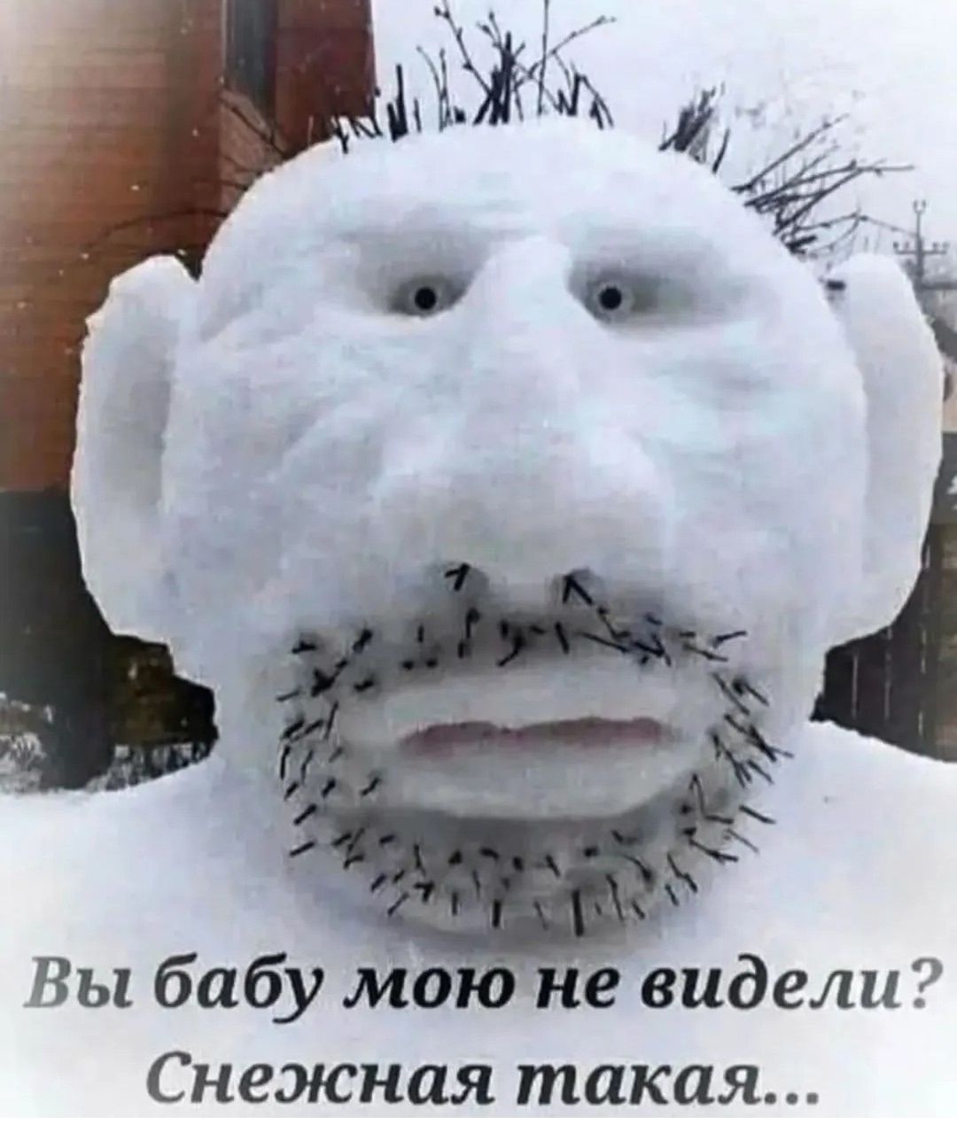 Вы бабу мою не видели? Снежная такая...