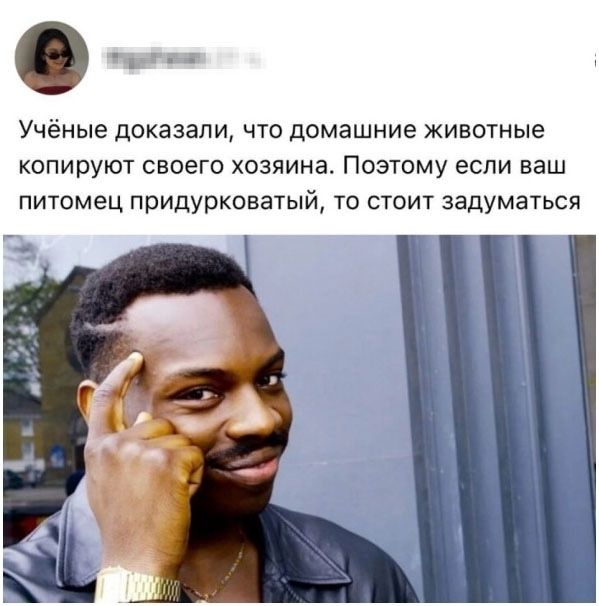 Учёные доказали, что домашние животные копируют своего хозяина. Поэтому если ваш питомец придурковатый, то стоит задуматься