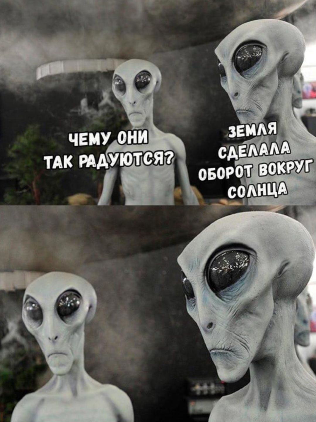 ЧЕМУ ОНИ ТАК РАДУЮТСЯ? ЗЕМЛЯ СДЕЛАЛА ОБОРОТ ВОКРУГ СОЛНЦА