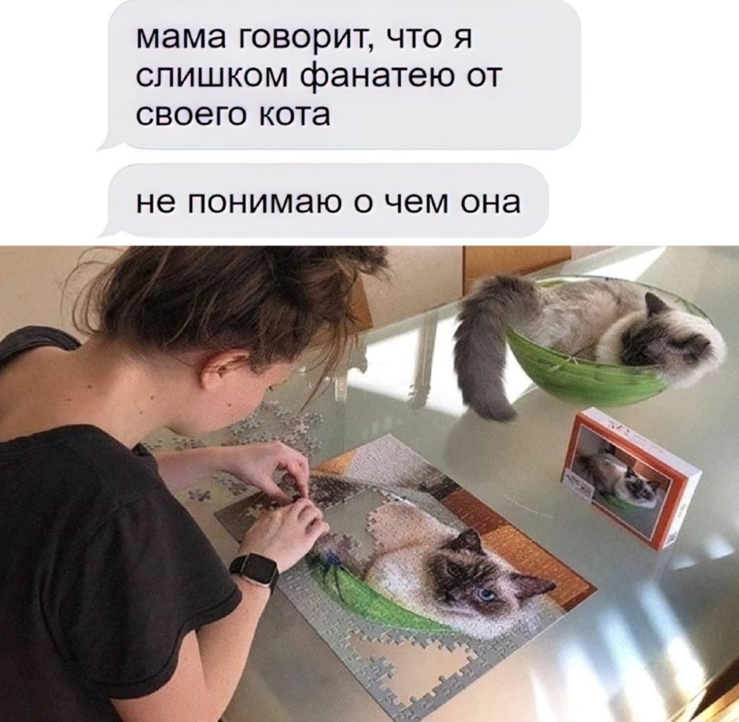 мама говорит, что я слишком фанатею от своего кота
не понимаю о чем она