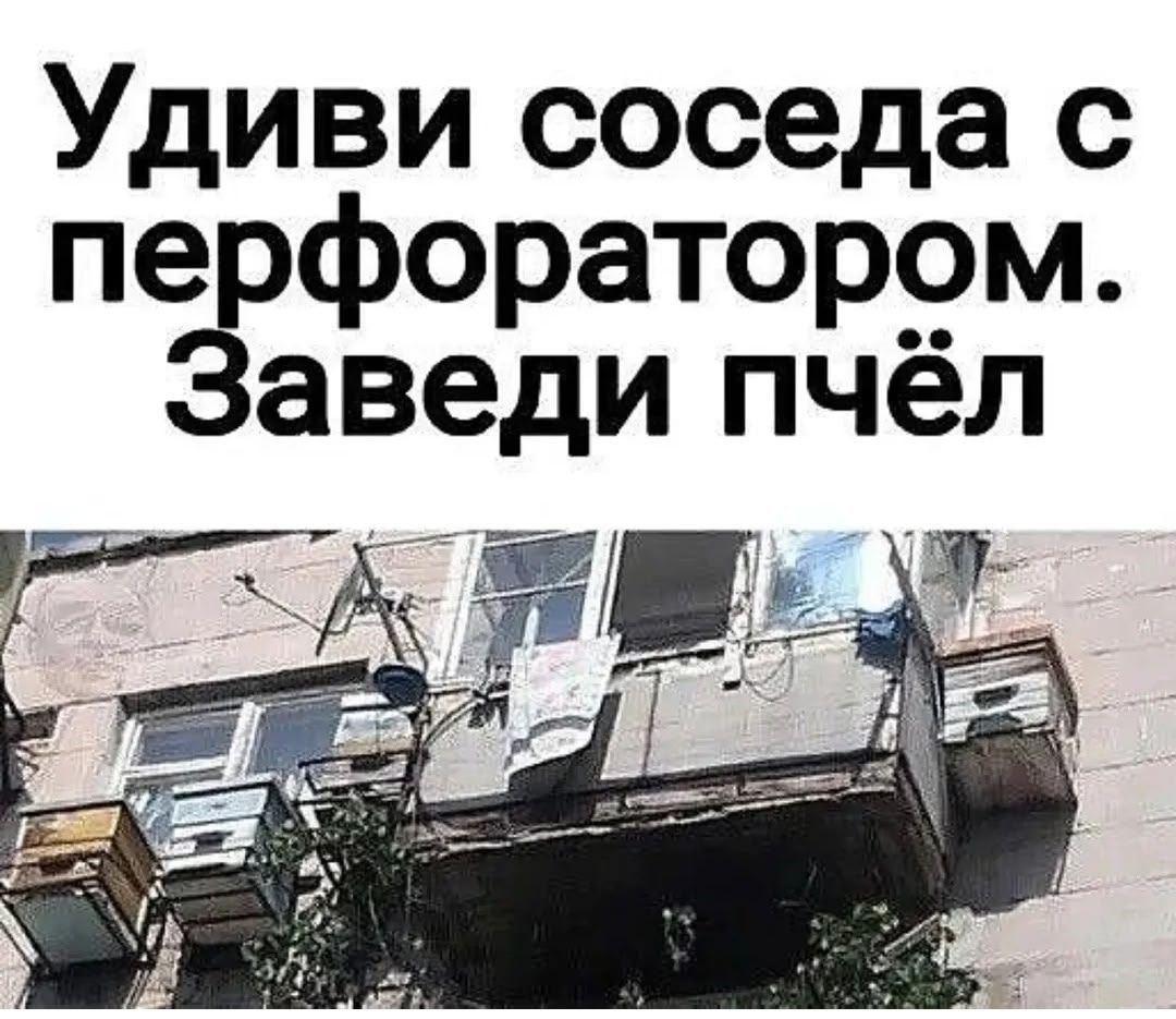 Удиви соседа с перфоратором. Заведи пчёл