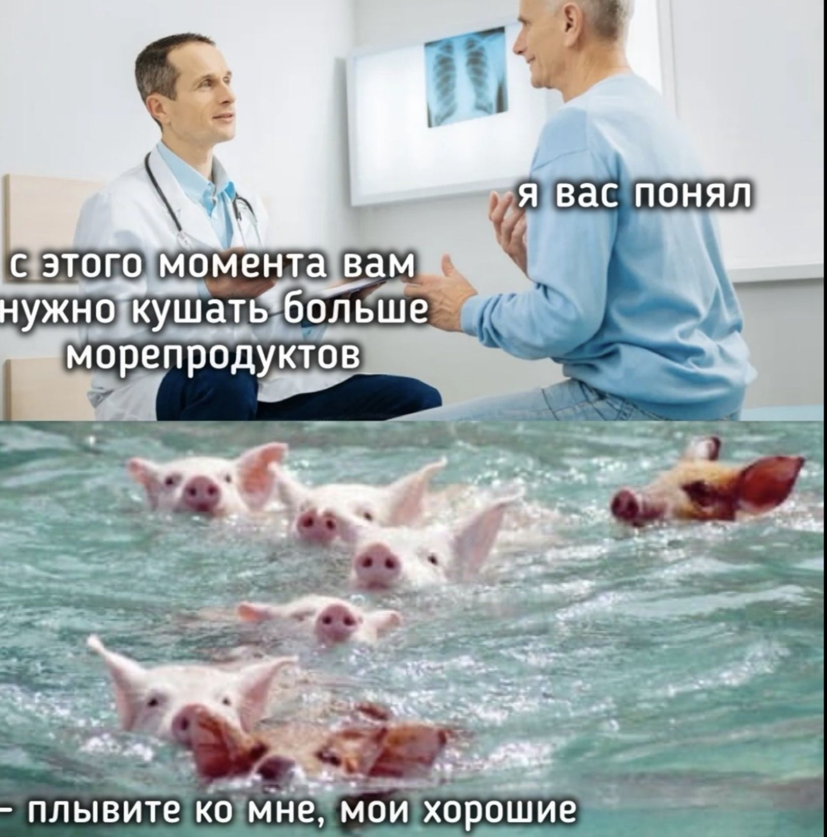 с этого момента вам нужно кушать больше морепродуктов
я вас понял
плывите ко мне, мои хорошие