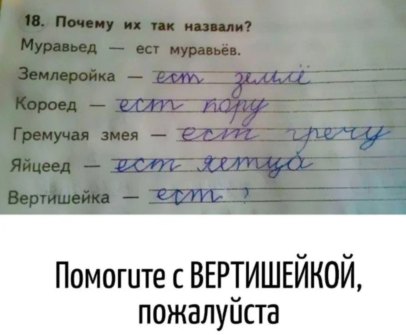 18. Почему их так назвали? Муравьёв — есть муравьёв. Землеройка — .... Короед — .... Гремучая змея — .... Яйцеед — .... Вертишейка — .... Помогите с ВЕРТИШЕЙКОЙ, пожалуйста