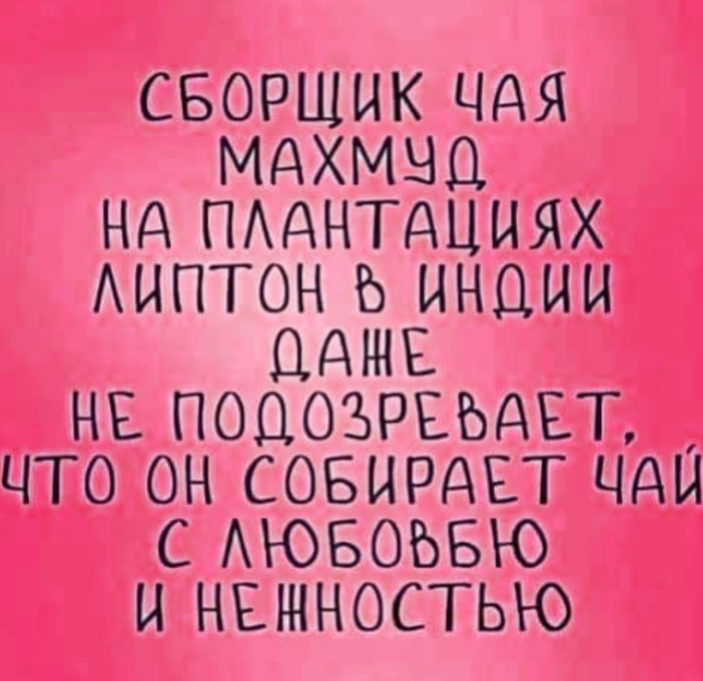 Сборщик чая махмуд на плантациях Lipton в Индии даже не подозревает, что он собирает чай с любовью и нежностью