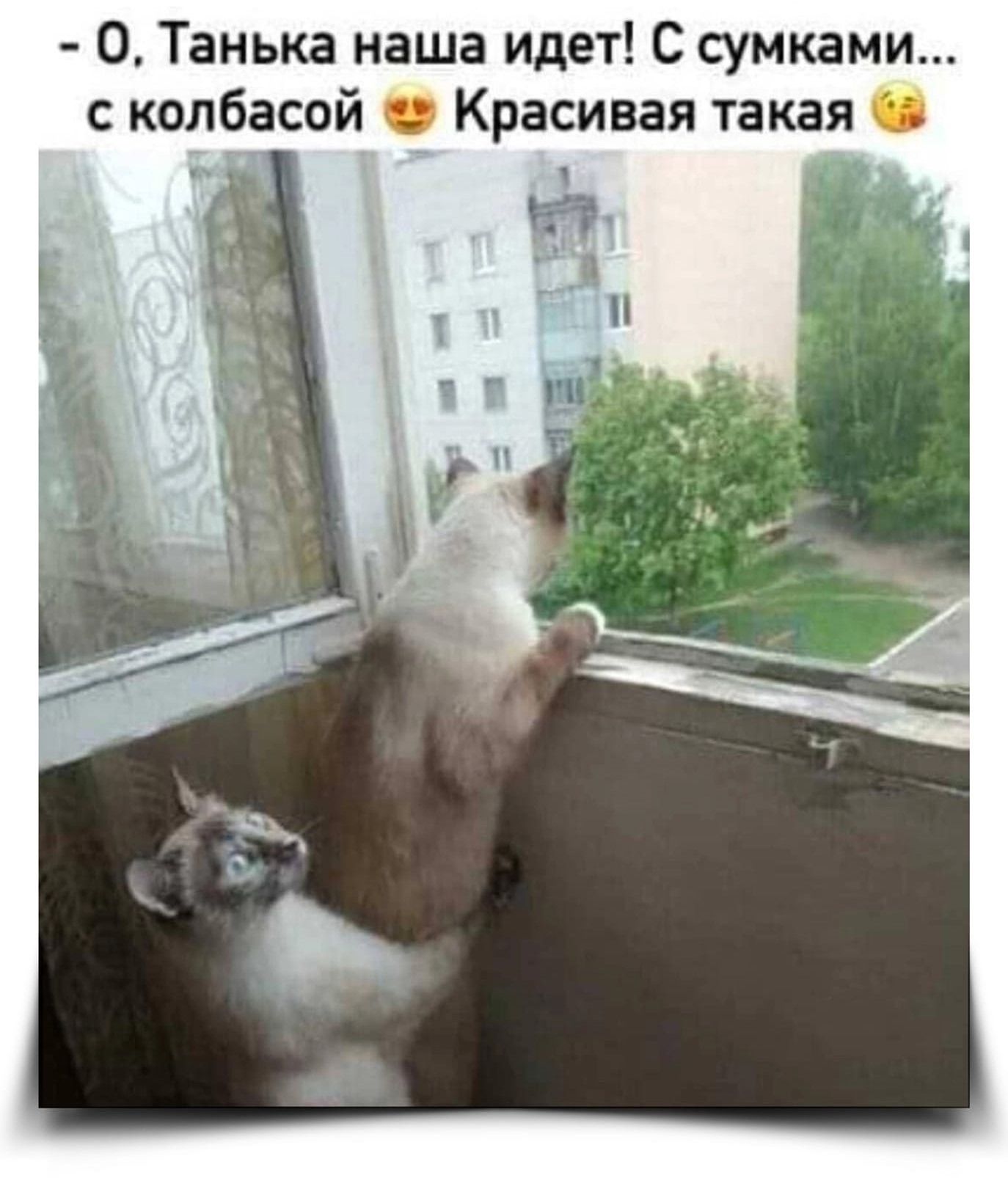 - О. Танья наша идет! С сумками... с колбасой 😍 Красивая такая 😚