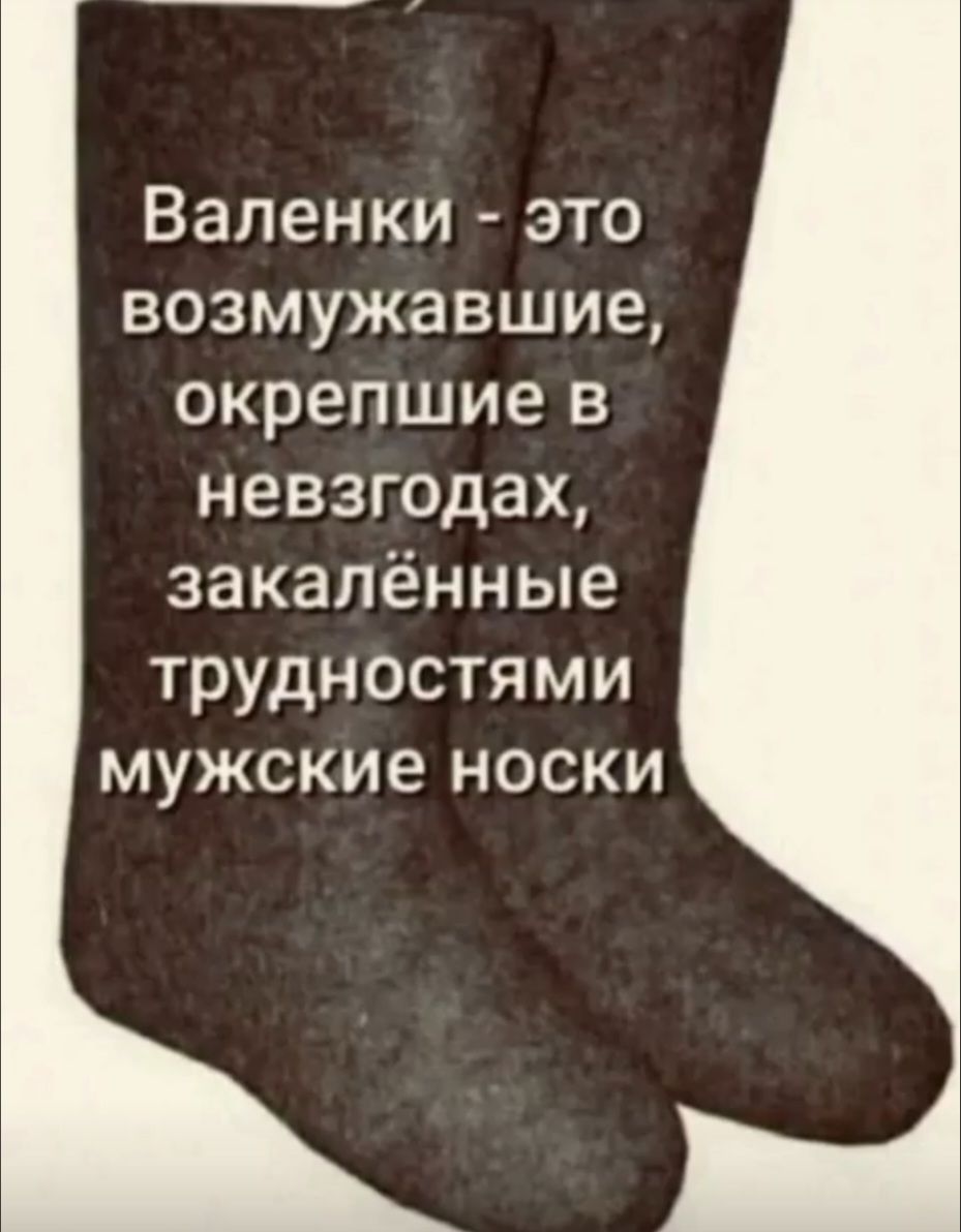 Валенки - это возмущавшиеся, окрепшие в невзгодах, закалённые трудностями мужские носки