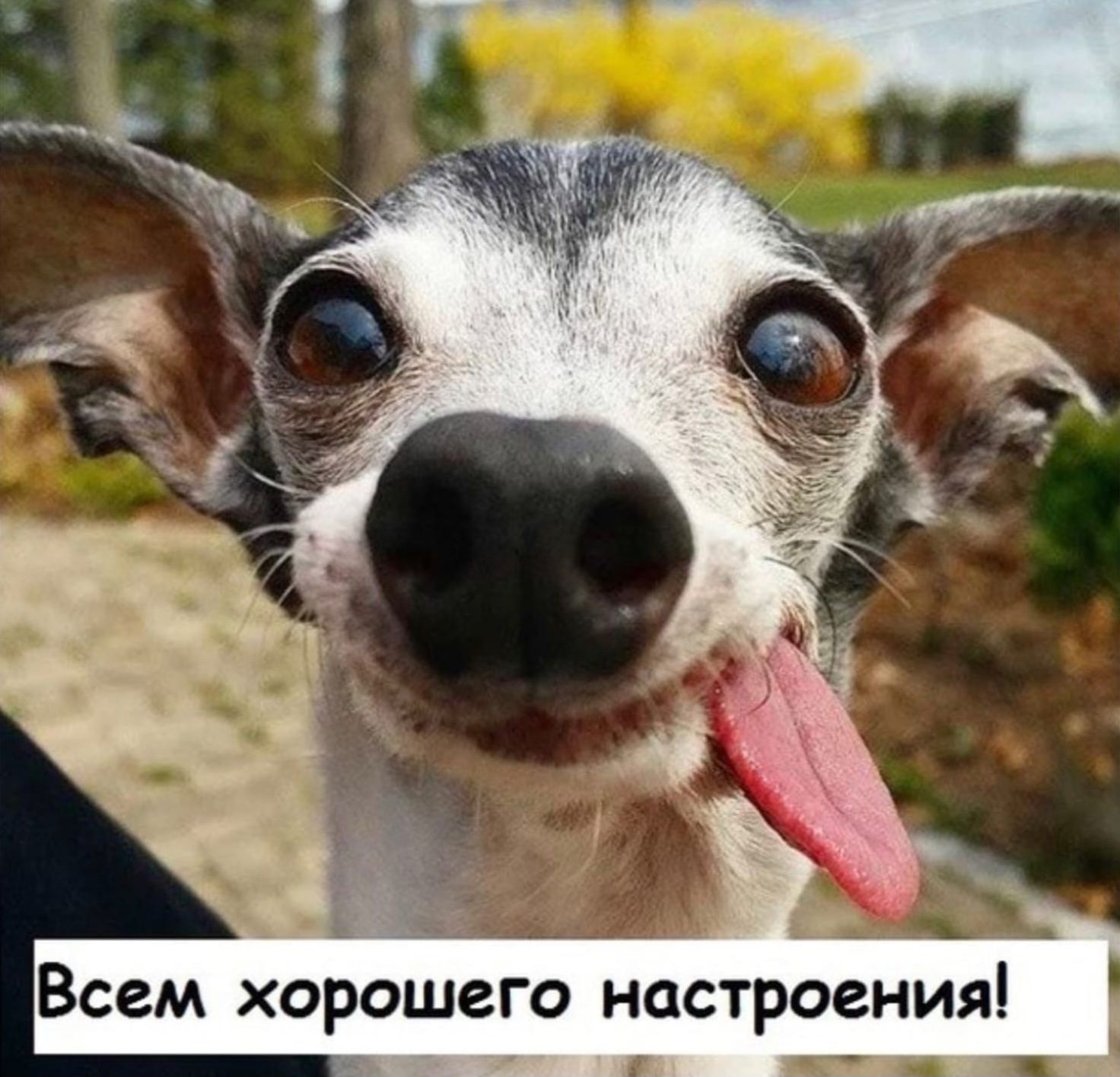 Всем хорошего настроения!