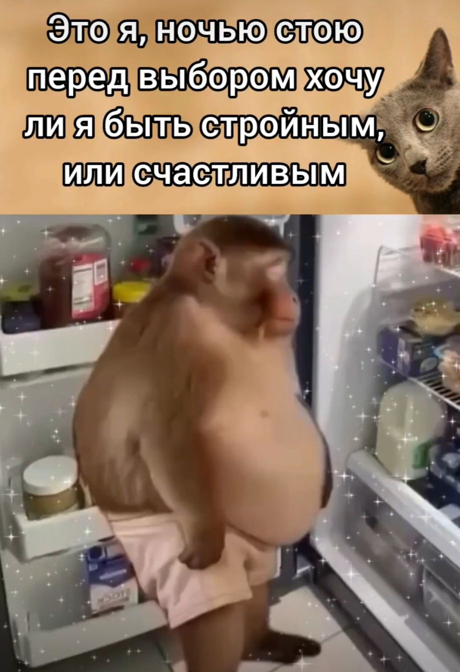 Это я, ночью стою перед выбором хочу ли я быть стройным, или счастливым
