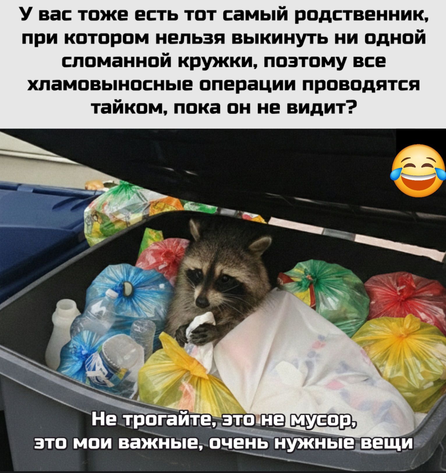 У вас тоже есть тот самый родственник, при котором нельзя выкинуть ни одной сломанной кружки, поэтому все хламомысленные операции проводятся тайком, пока он не видит?\nНе трогайте, это не мусор, это мои важные, очень нужные вещи