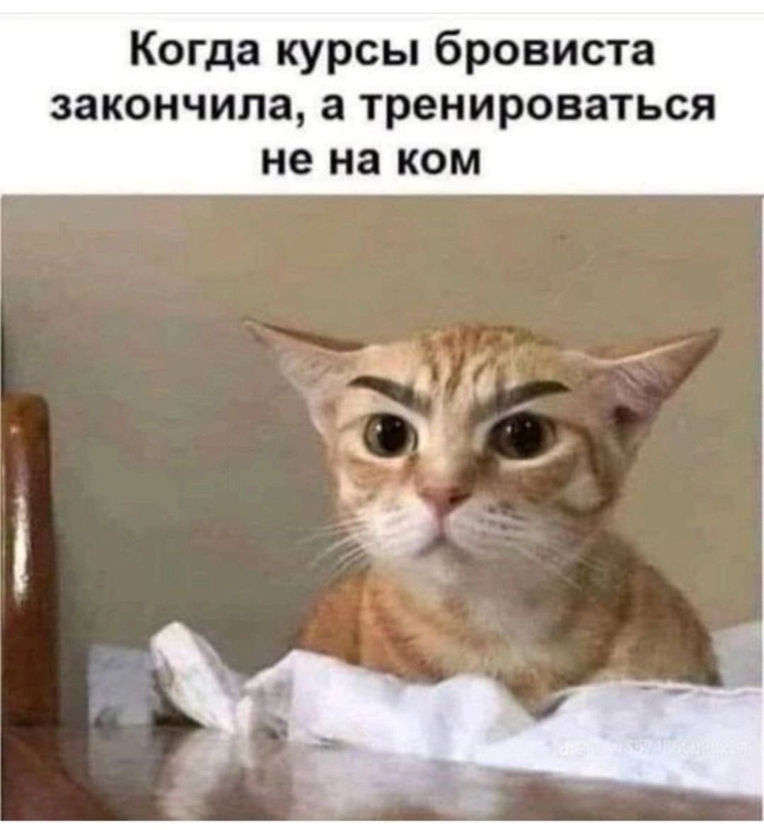 Когда курсы бровиста закончили, а тренироваться не на ком