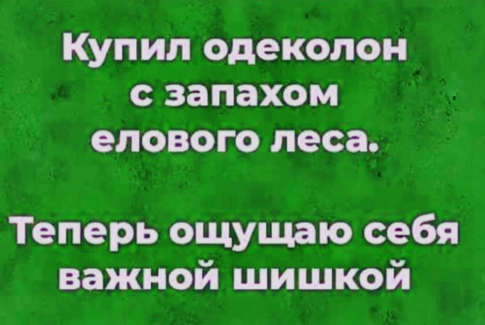 Купил одеколон с запахом елового леса. Теперь ощущаю себя важной шишкой