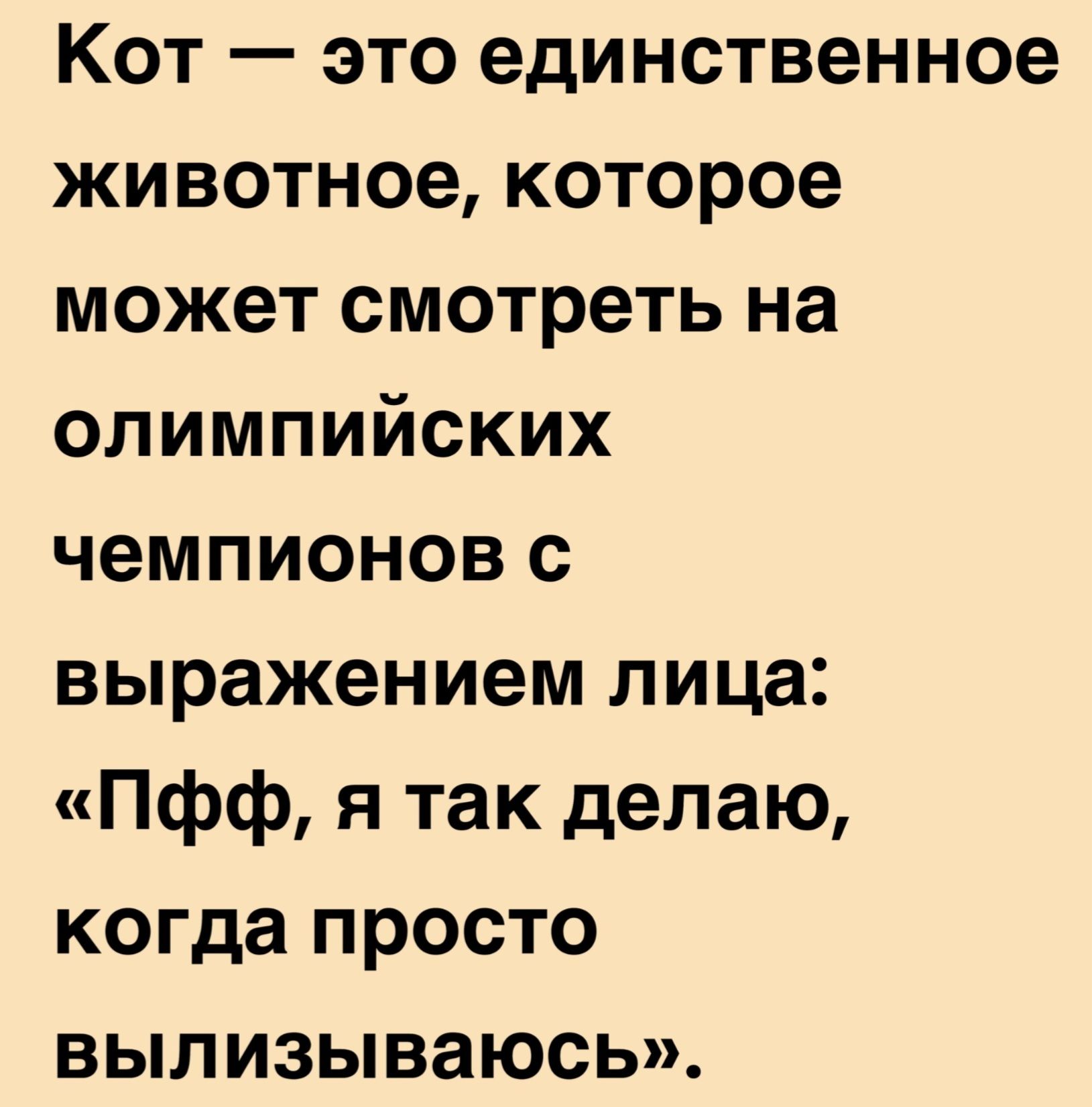 Кот — это единственное животное, которое может смотреть на олимпийских чемпионов с выражением лица: «Пфф, я так делаю, когда просто вылизываюсь».