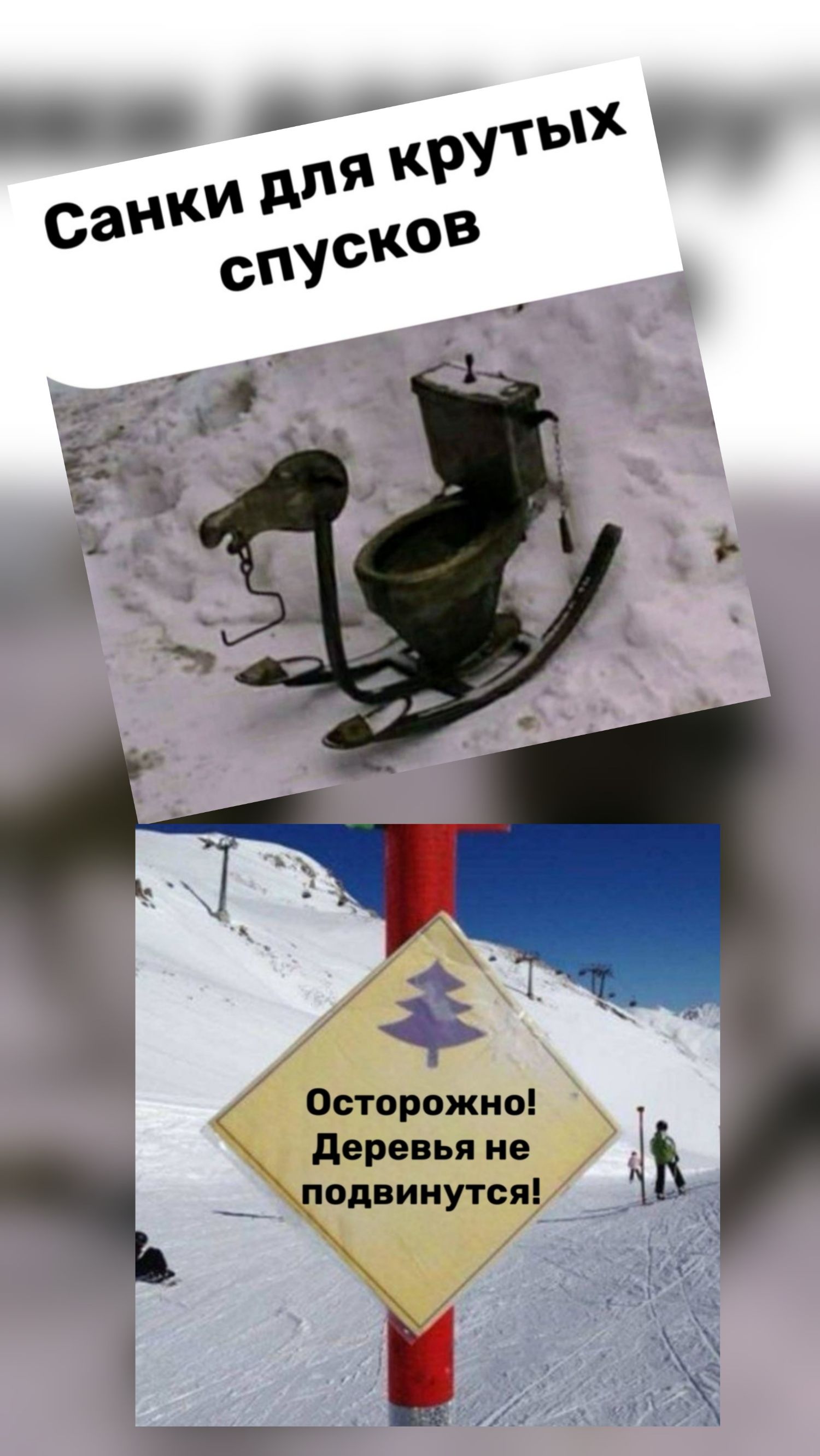 Санки для крутых спусков
Осторожно! Деревья не подвинутся!