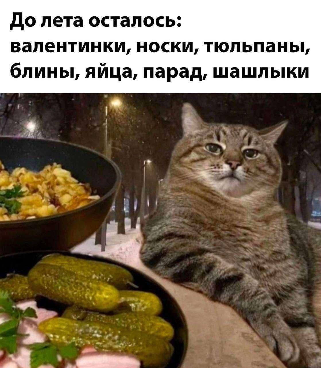 До лета осталось: валентинки, носки, тюльпаны, блины, яйца, парад, шашлыки