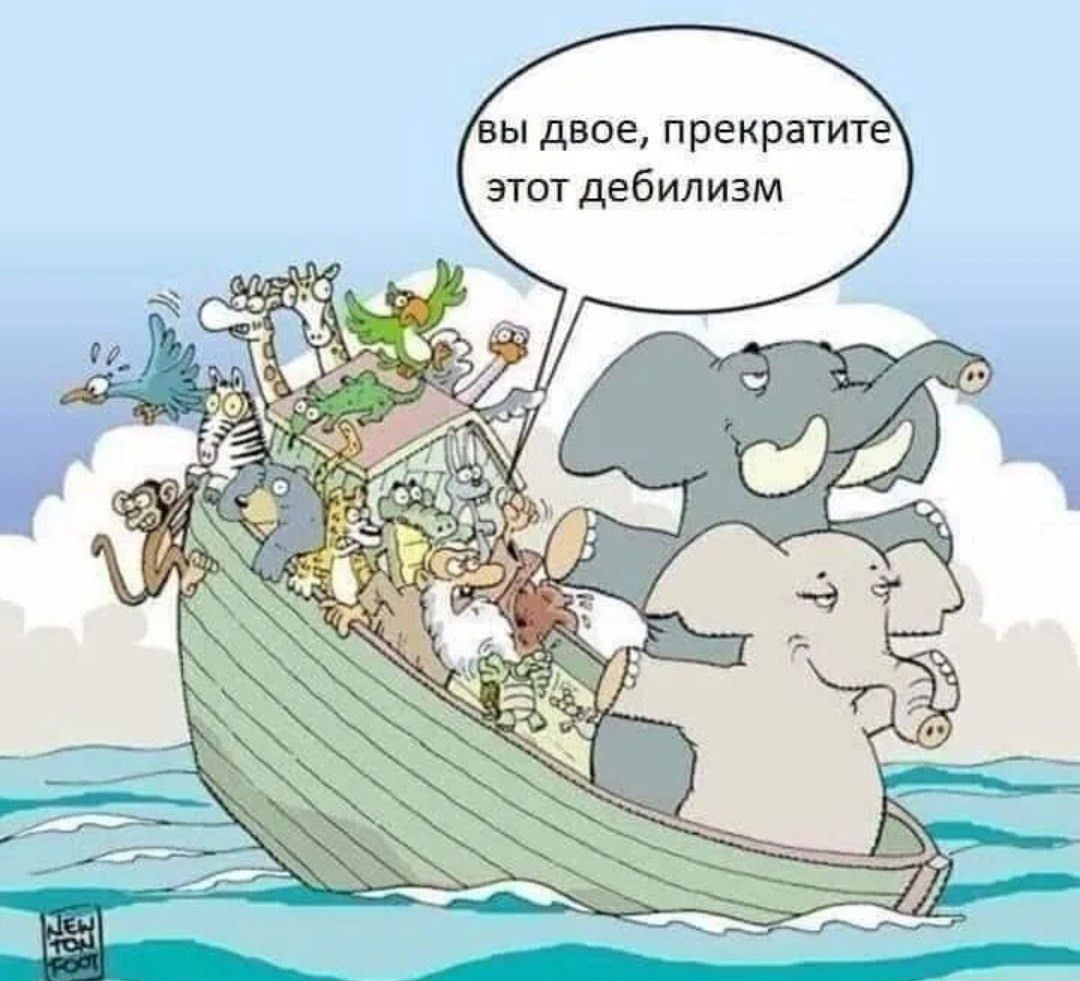 вы двое, прекратите этот дебилизм