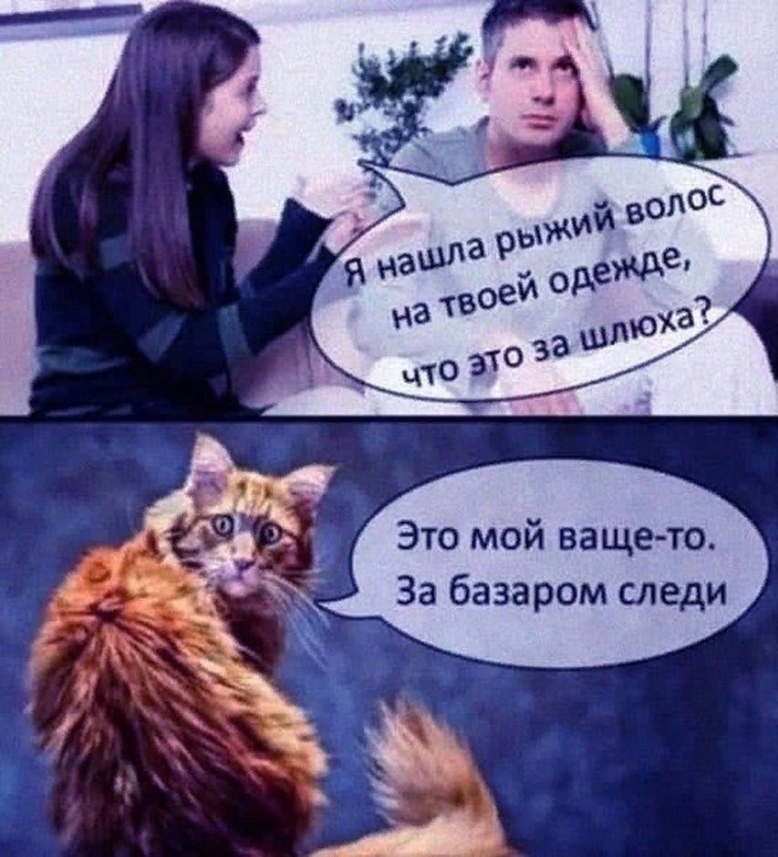 Я нашла рыжий волос на твоей одежде, что это за шлюха? Это мой ваше-то. За базаром следи