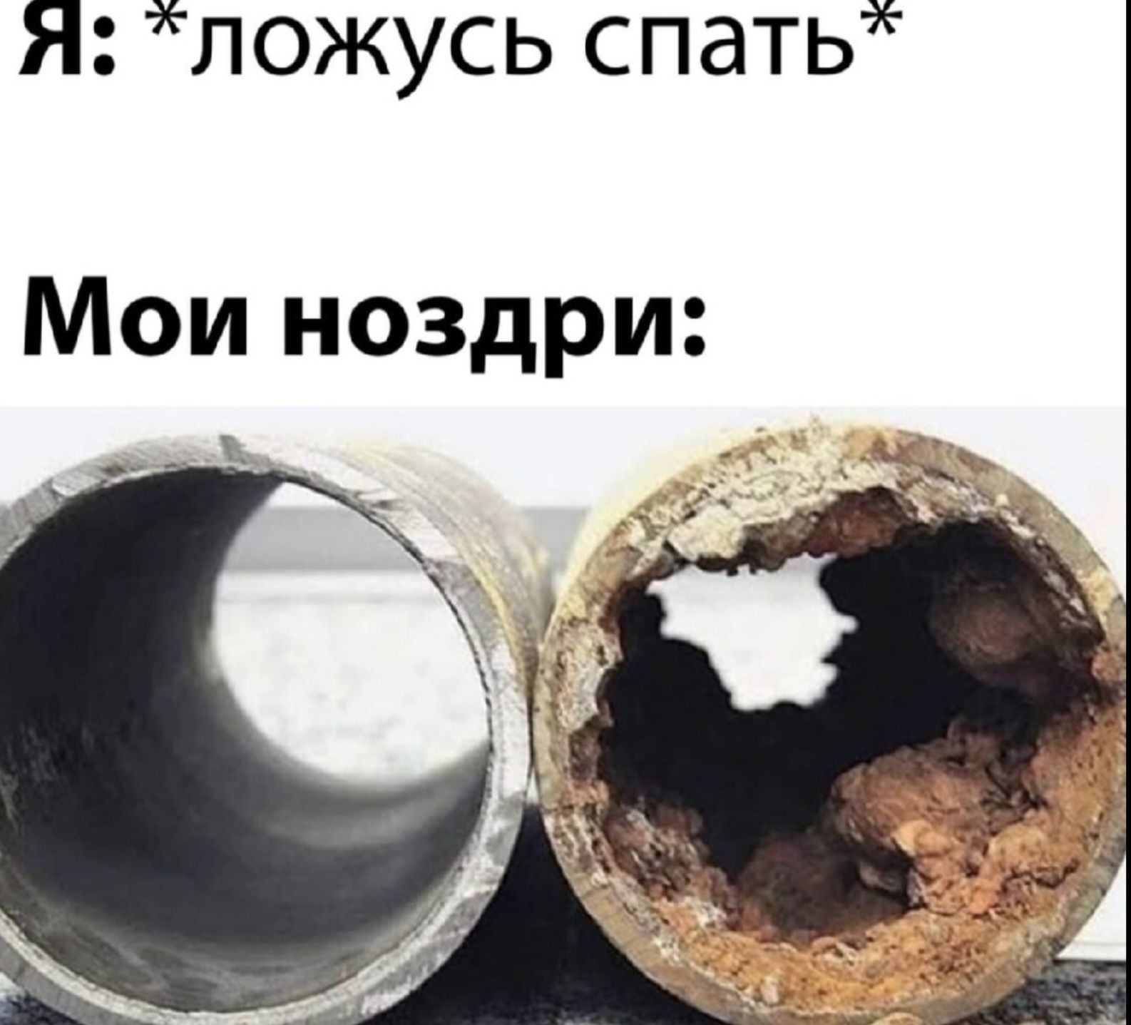 Я: *ложусь спать*\nМои ноздри: