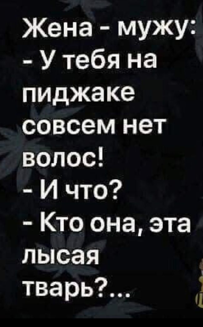 Жена - мужу: - У тебя на пиджаке совсем нет волос! - И что? - Кто она, эта лысая тварь?...