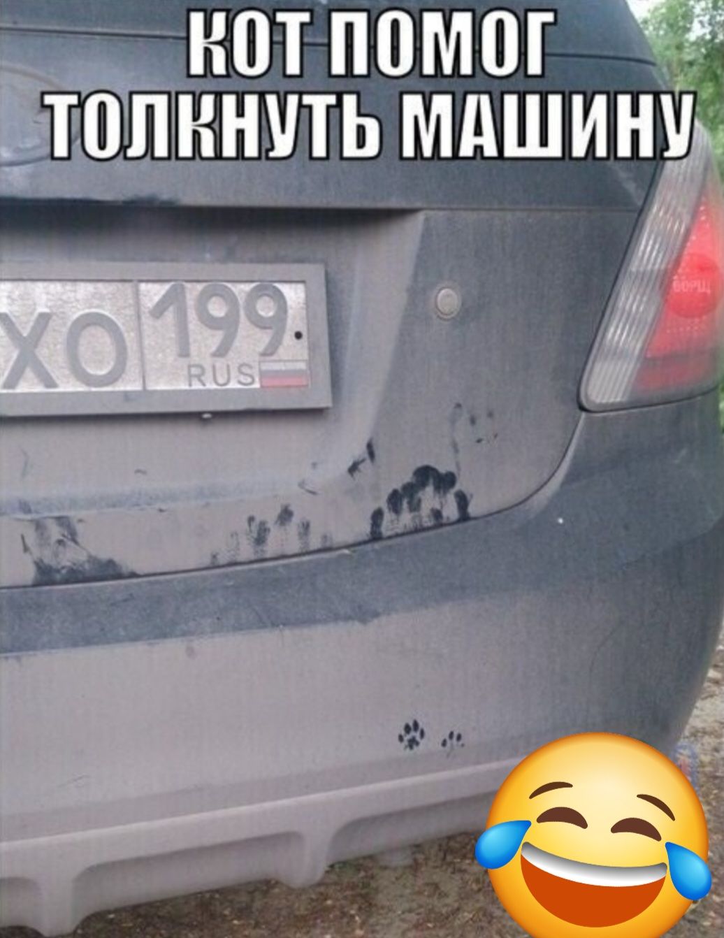 КОТ ПОМОГ ТОЛКНУТЬ МАШИНУ