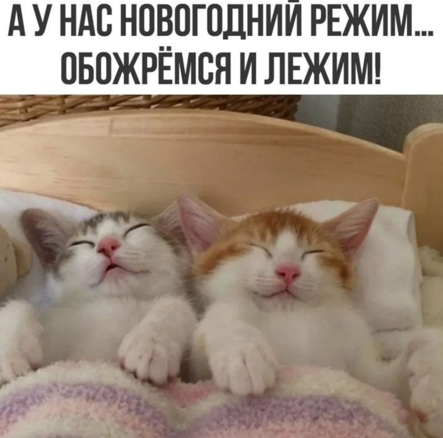 А У НАС НОВОГОДНИЙ РЕЖИМ... ОБОЖРЁМСЯ И ЛЕЖИМ!