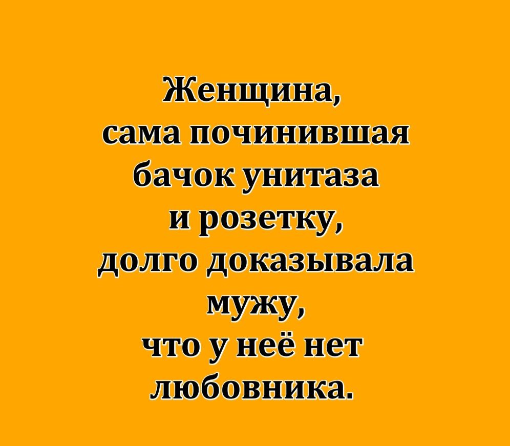 Женщина, сама починившая бачок унитаза и розетку, долго доказывала мужу, что у неё нет любовника.