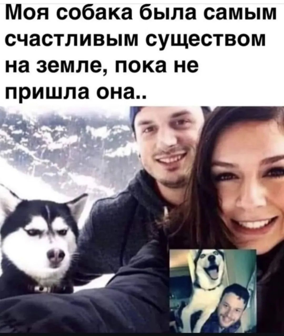 Моя собака была самым счастливым существом на земле, пока не пришла она..