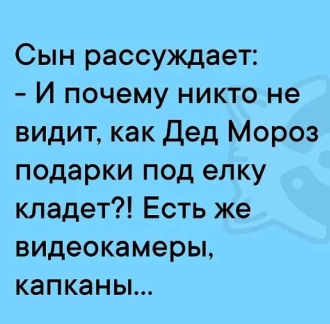 Сын рассуждает: - И почему никто не видит, как Дед Мороз подарки под елку кладет?! Есть же видеокамеры, капканы...