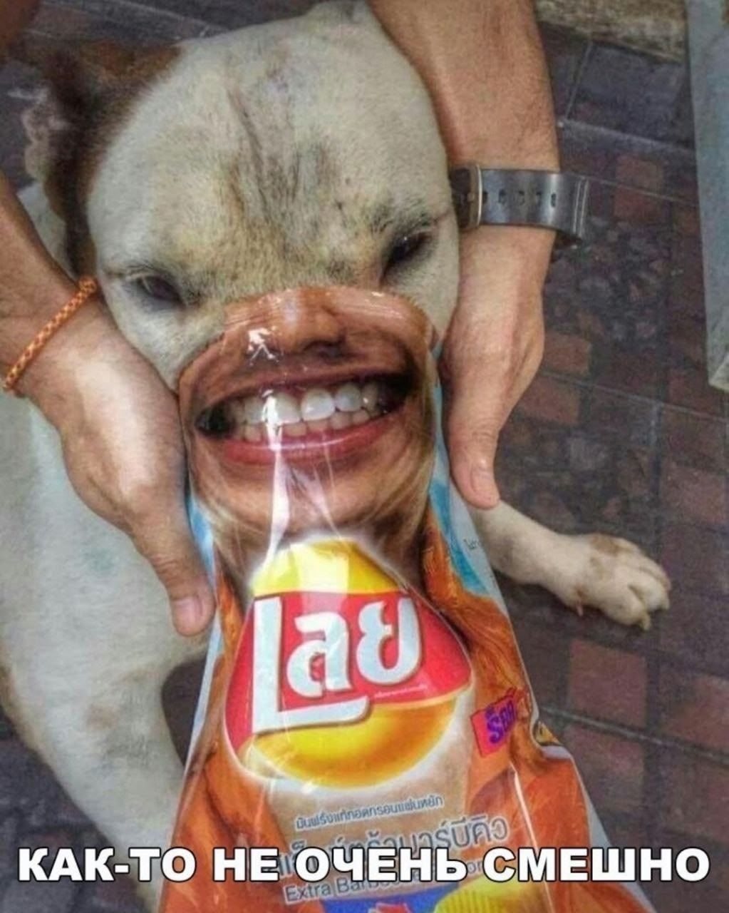 КАК-ТО НЕ ОЧЕНЬ СМЕШНО