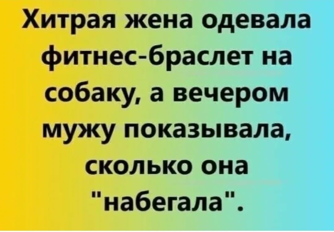 Хитрая жена одевала фитнес-браслет на собаку, а вечером мужу показывала, сколько она 