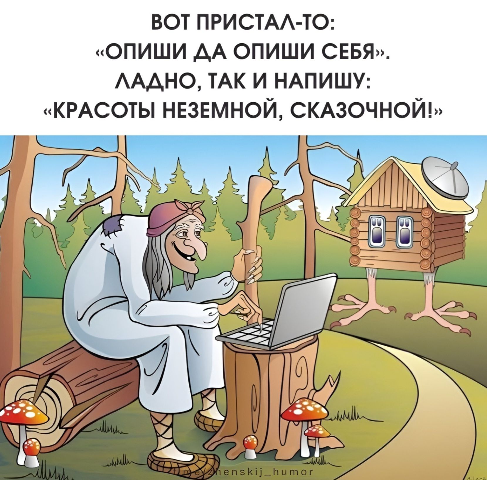 ВОТ ПРИСТАЛА-ТО: «ОПИШИ ДА ОПИШИ СЕБЯ», ЛАДНО, ТАК И НАПИШУ: «КРАСОТЫ НЕЗЕМНОЙ, СКАЗОЧНОЙ!»