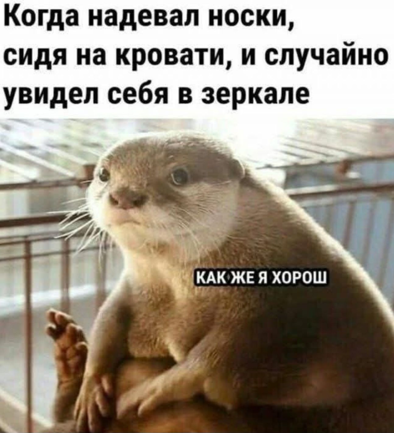 Когда надевал носки, сидя на кровати, и случайно увидел себя в зеркале\nКАК ЖЕ Я ХОРОШ