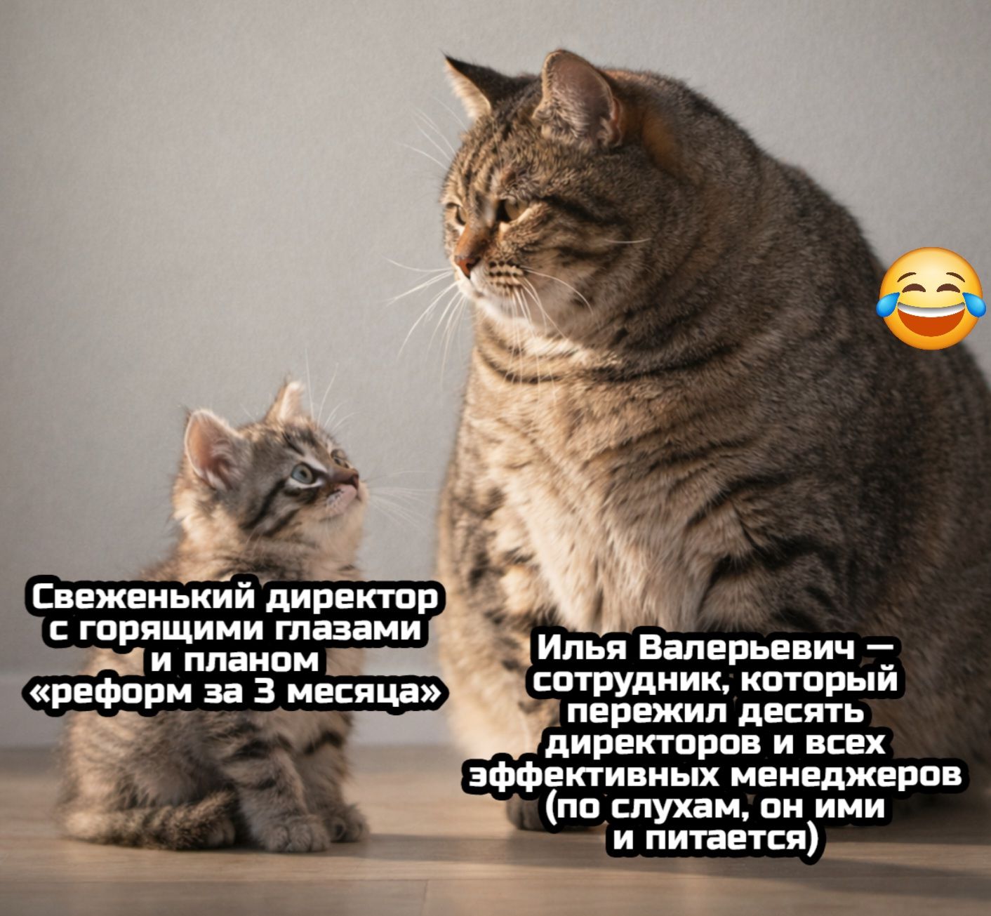 Свеженький директор\nС горящими глазами\nи планом\n«реформ за 3 месяца»\n\nИлья Валерьевич — сотрудник, который пережил десять директоров и всех эффективных менеджеров (по слухам, ним ими и питается)