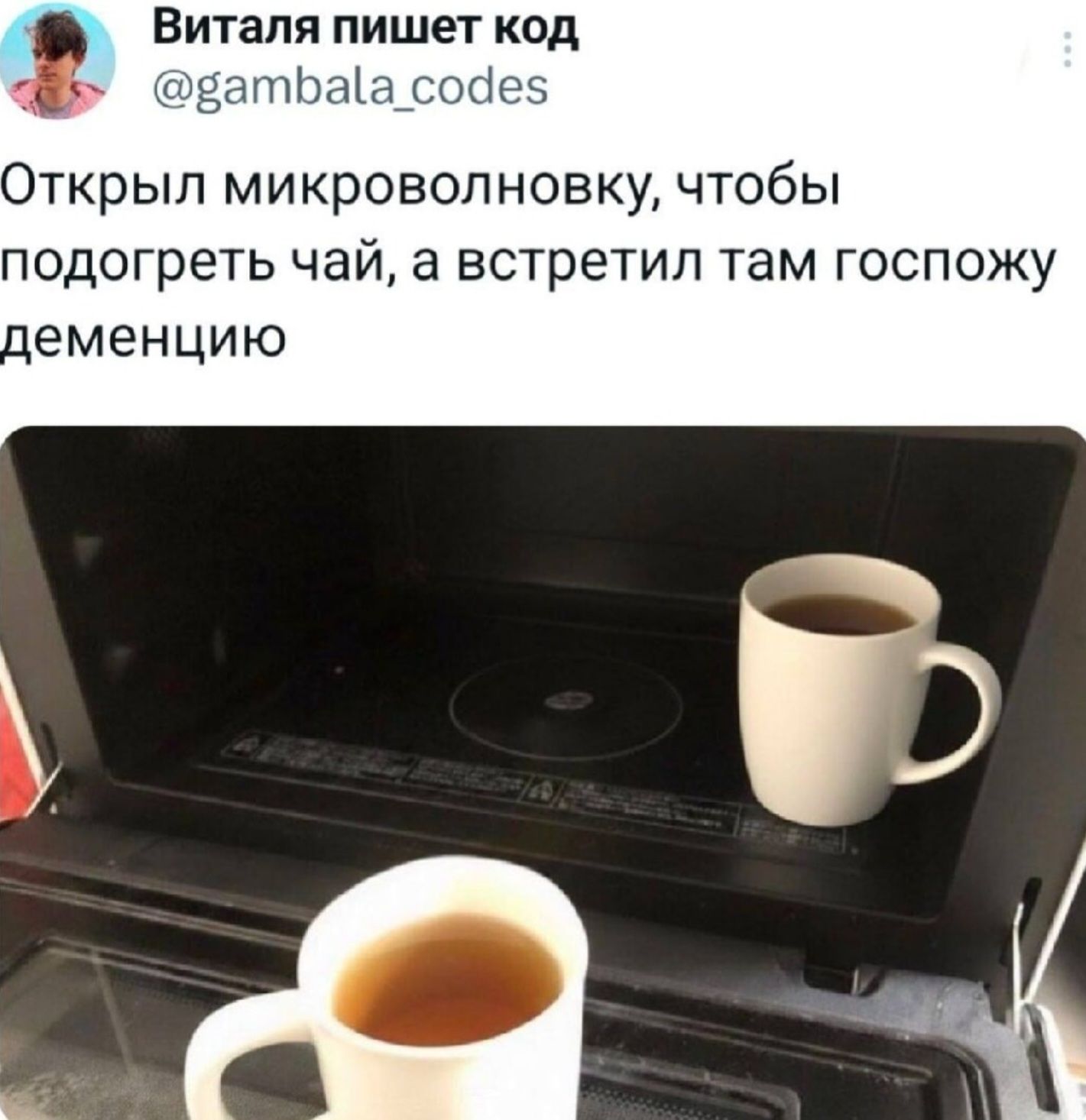 Открыл микроволновку, чтобы подогреть чай, а встретил там госпожу деменцию