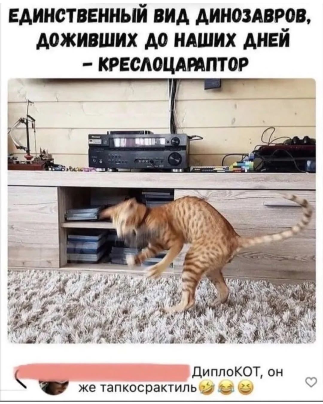 Единственный вид динозавров, доживших до наших дней – креслопарэпатор