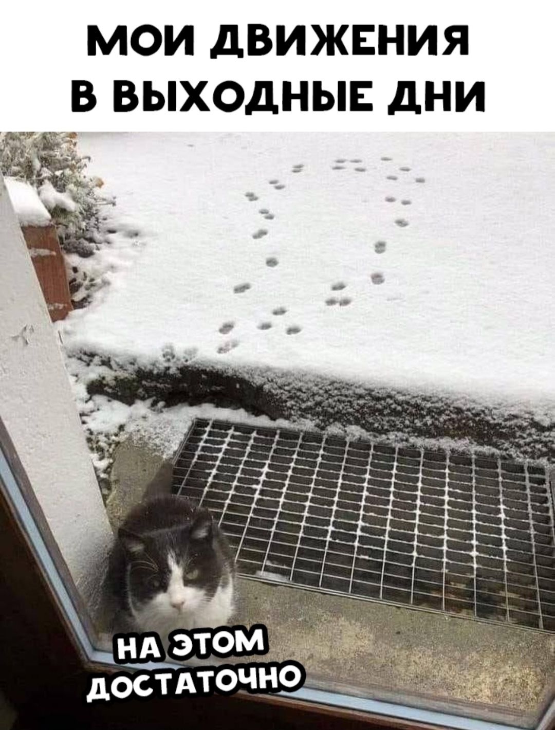 МОИ ДВИЖЕНИЯ В ВЫХОДНЫЕ ДНИ
НА ЭТОМ ДОСТАТОЧНО