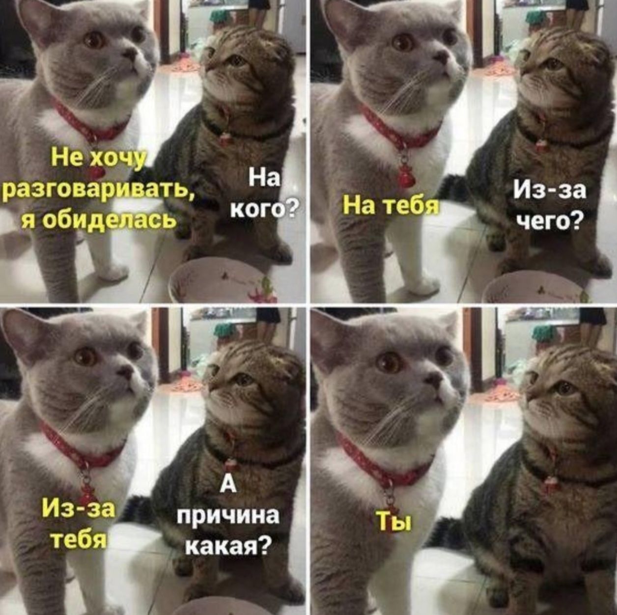 Не хочу разговаривать, я обиделась
На кого?
На тебя
Из-за чего?
А причина какая?
Ты