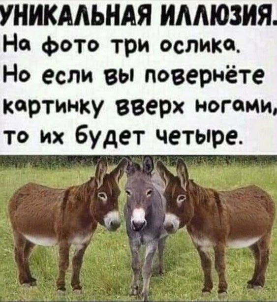 УНИКАЛЬНАЯ ИЛЛЮЗИЯ.\nНа фото три ослика.\nНо если вы повернёте\nкартинку вверх ногами,\nто их будет четыре.