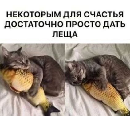 некоторым для счастья достаточно просто дать леща
