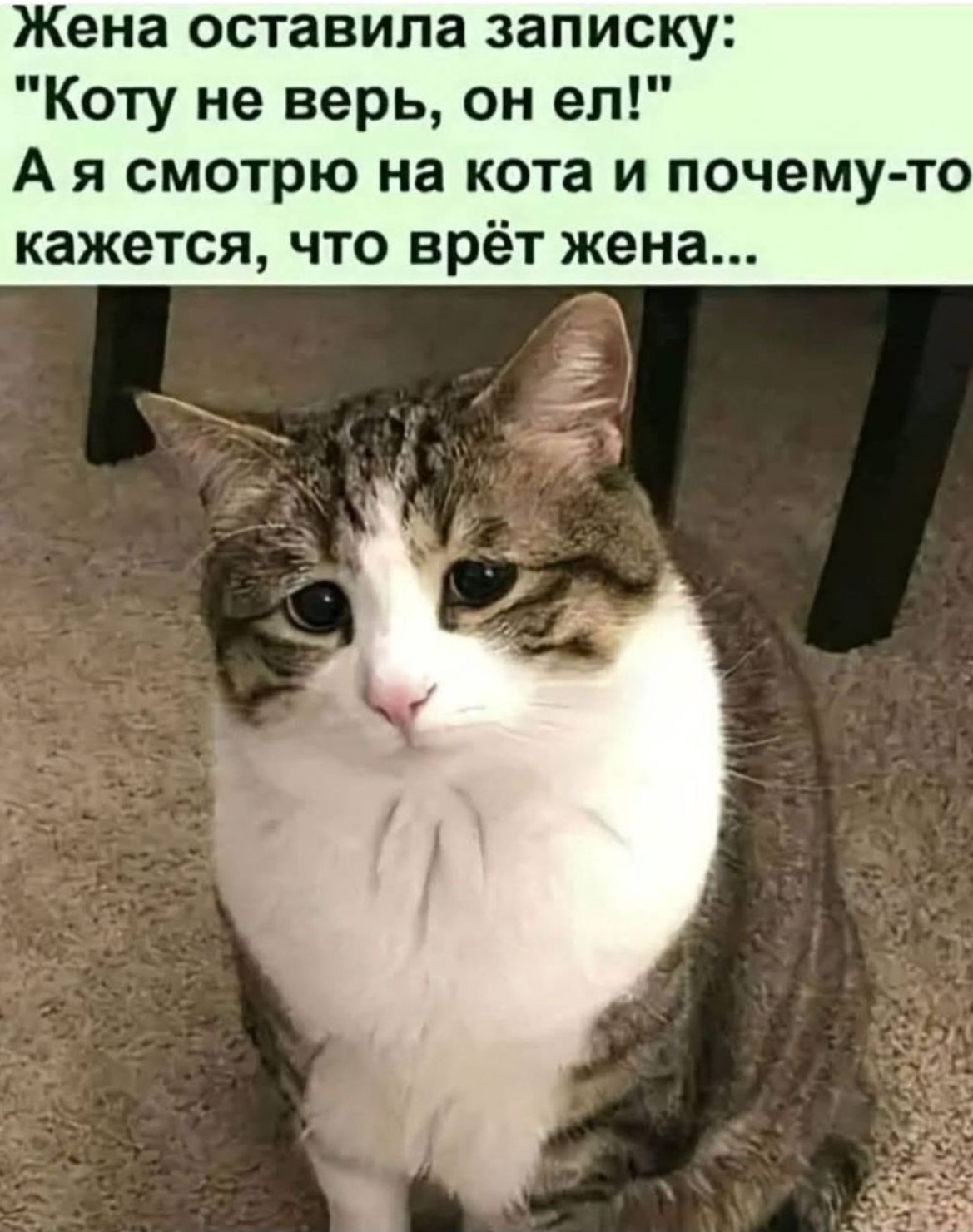 Жена оставила записку: 