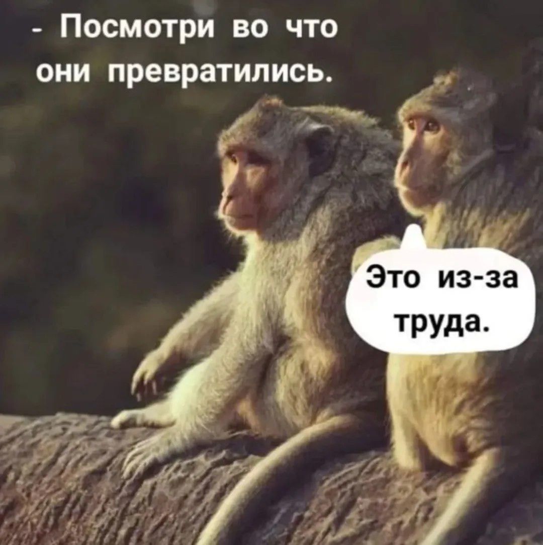 - Посмотри во что они превратились. Это из-за труда.