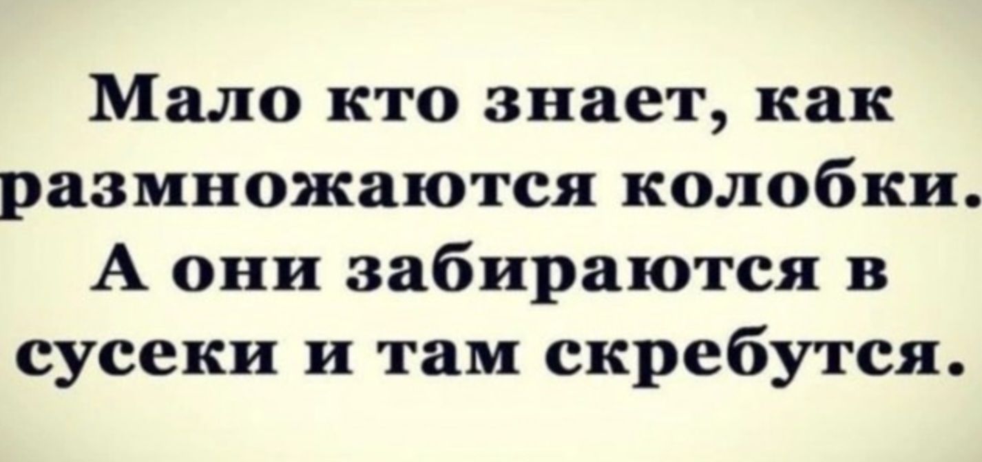 Мало кто знает, как размножаются колобки. А они забираются в сусеки и там скрекутся.