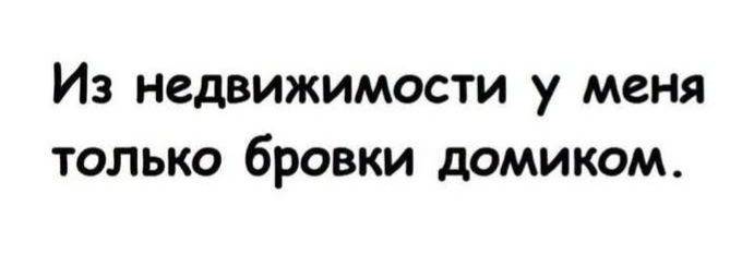 Из недвижимости у меня только бровки домиком.