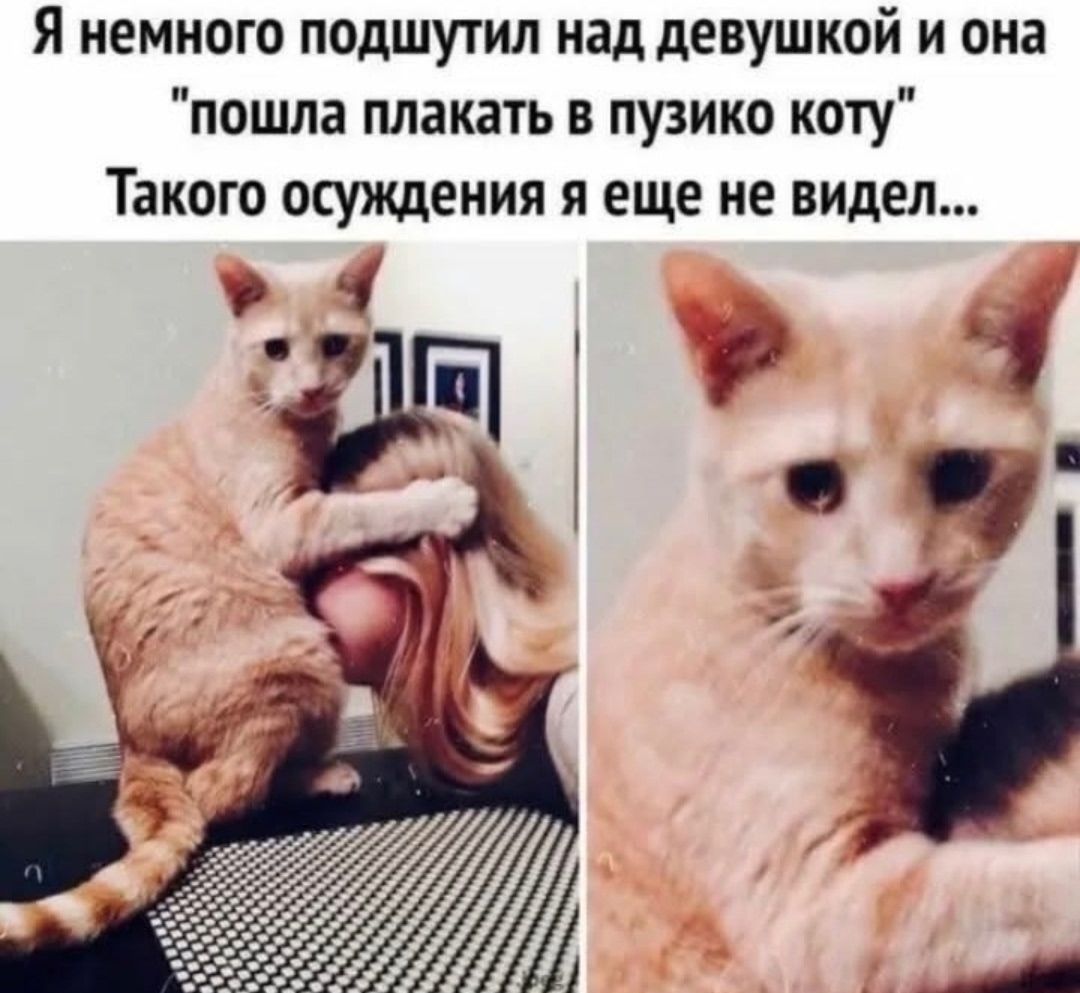 Я немного подшутил над девушкой и она 